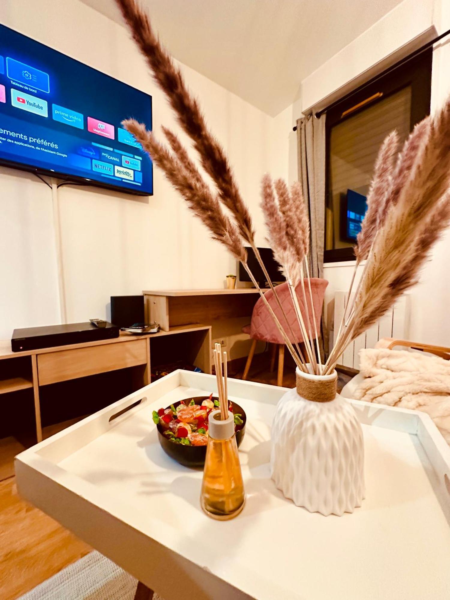 Appartement Elegant A Conflant Conflans-Sainte-Honorine Εξωτερικό φωτογραφία
